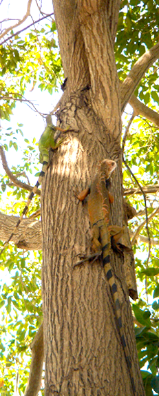 Somos sinónimo de calidad e ingenio