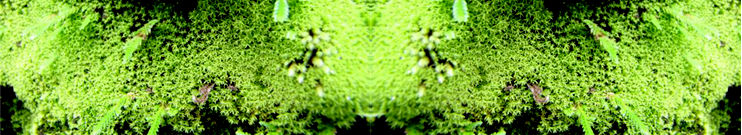 Somos sinónimo de calidad e ingenio